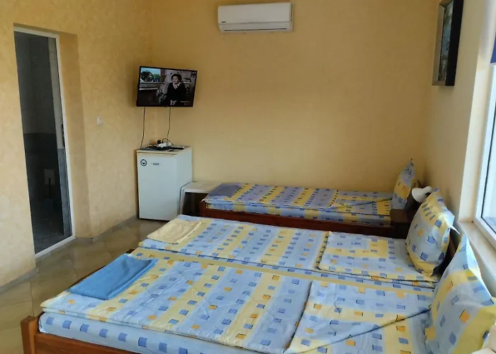 за гости бранко и приятели *