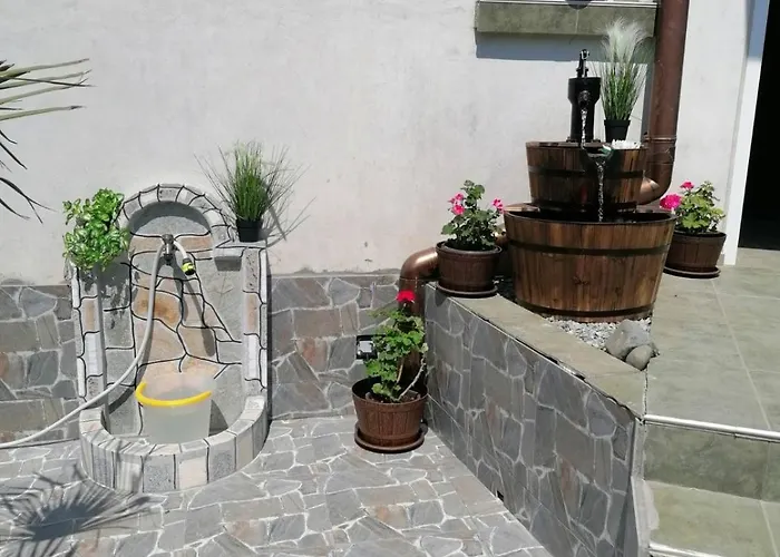 Гостевой дом за гости бранко и приятели